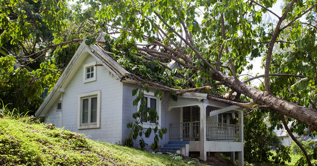 ensure a comprehensive storm damage repair process for your roof