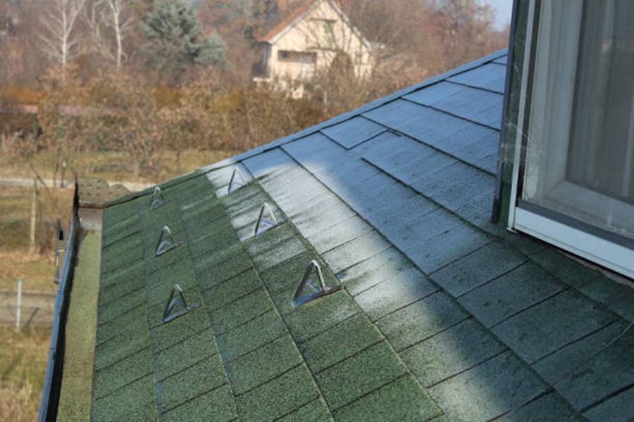 Whats the Best Way to Prevent Blue Green Roof Algae Stains